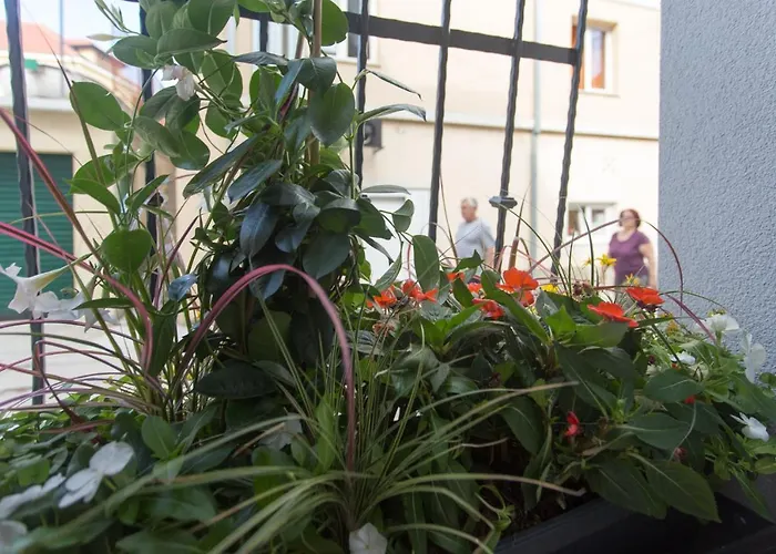 Lejlighed Castel Beachfront *